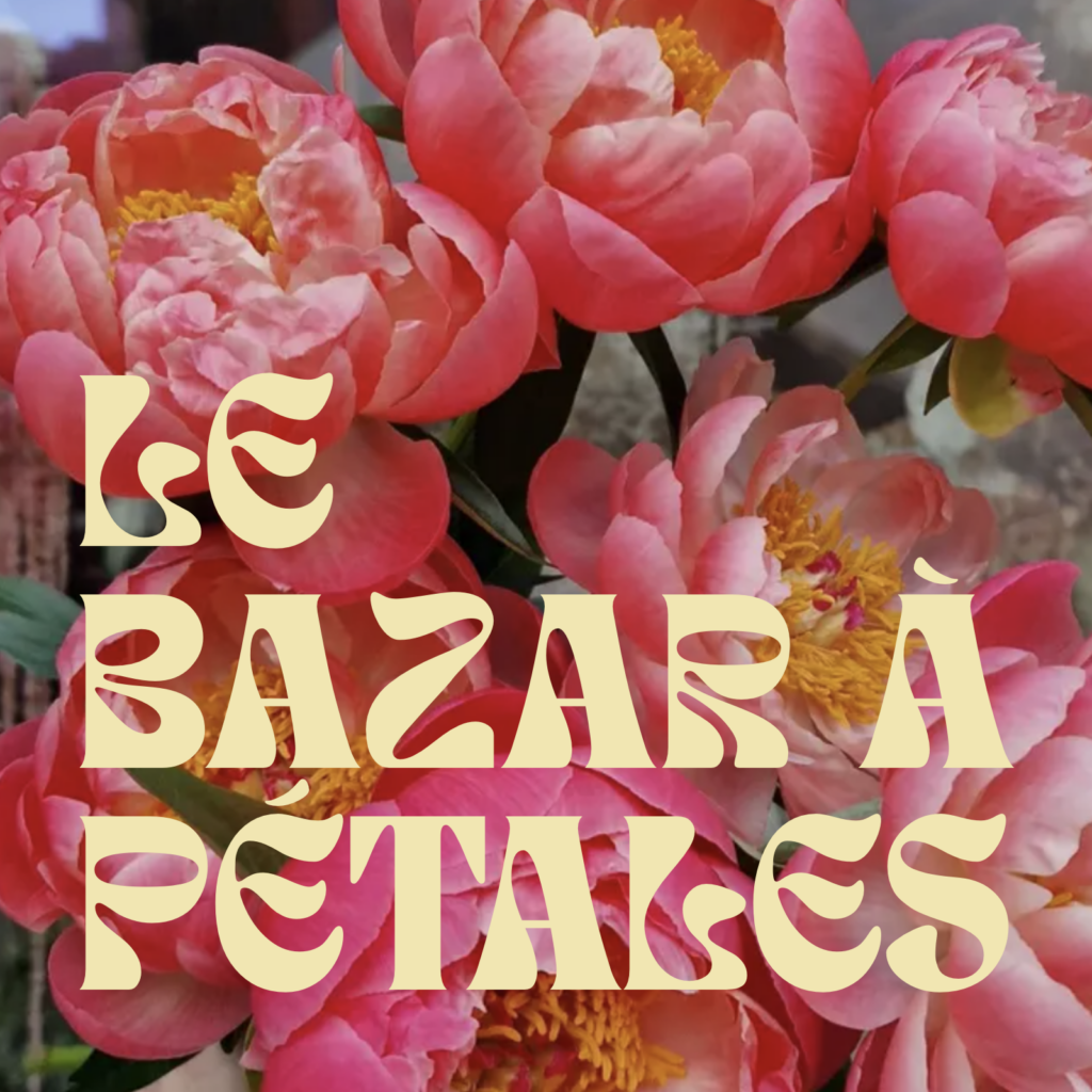 Le Bazar à Pétales logo